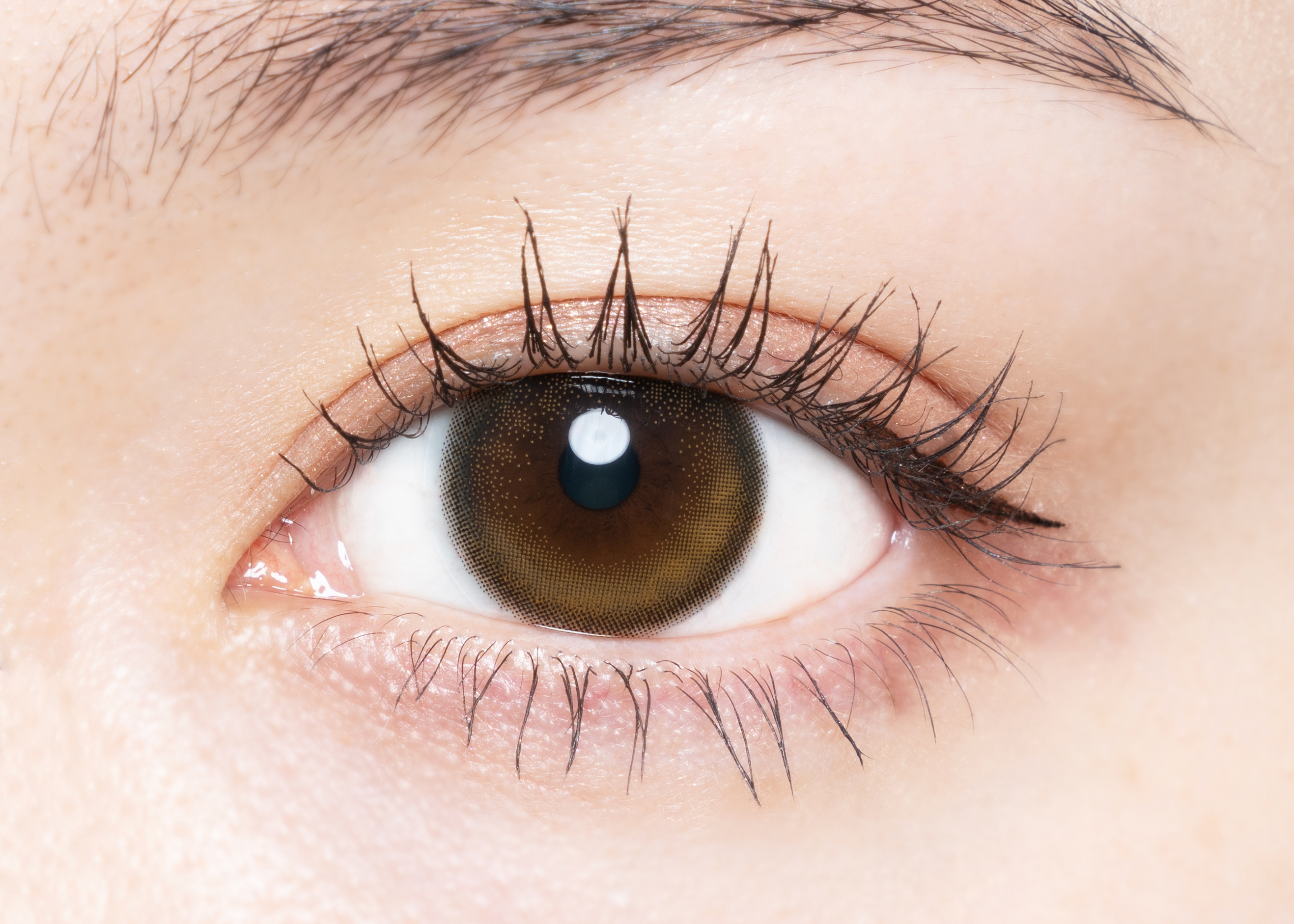 chu"s me トーリックチューズミー トーリック　グロスブラウンC-1.25